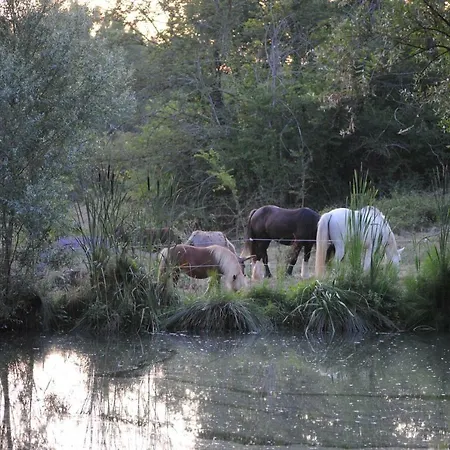 Country house La Roulotte Du Cos *