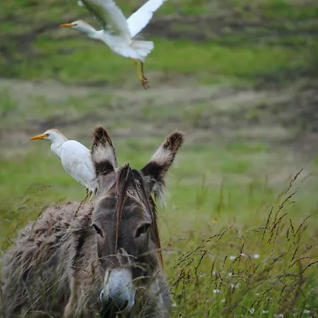 La Roulotte Du Cos Landhaus